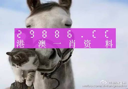 王中王493333WWW马头诗同今晚澳门特马必中一肖精选解析、解释与落实、实时解答解释落实
